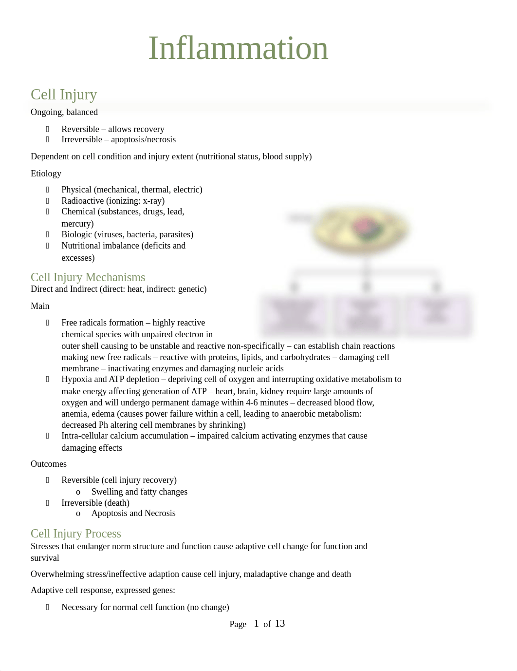 Inflammation and Infection Notes.docx_deomrrw16sr_page1