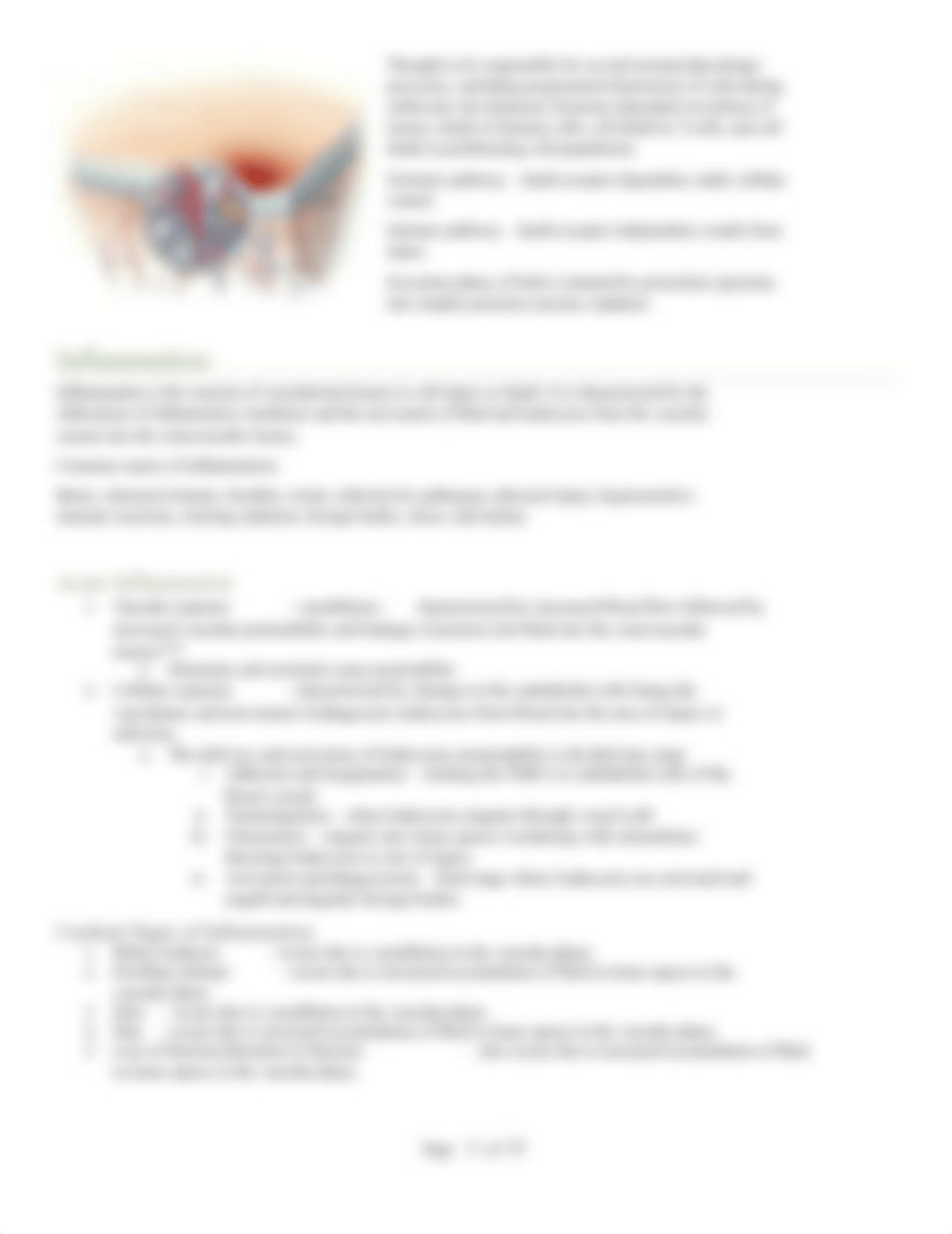 Inflammation and Infection Notes.docx_deomrrw16sr_page3