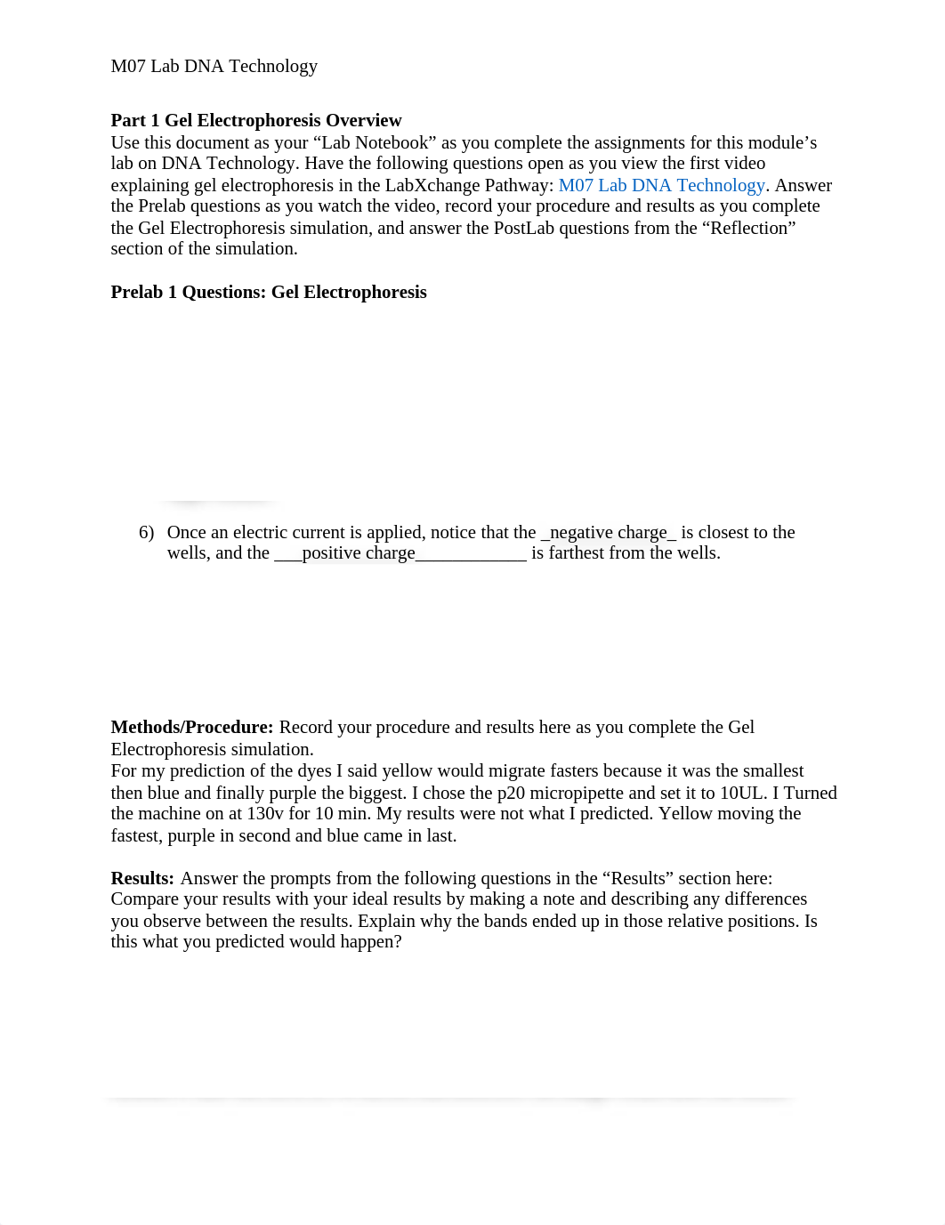 M07 Lab DNA Technology.pdf_deorah7qusi_page1