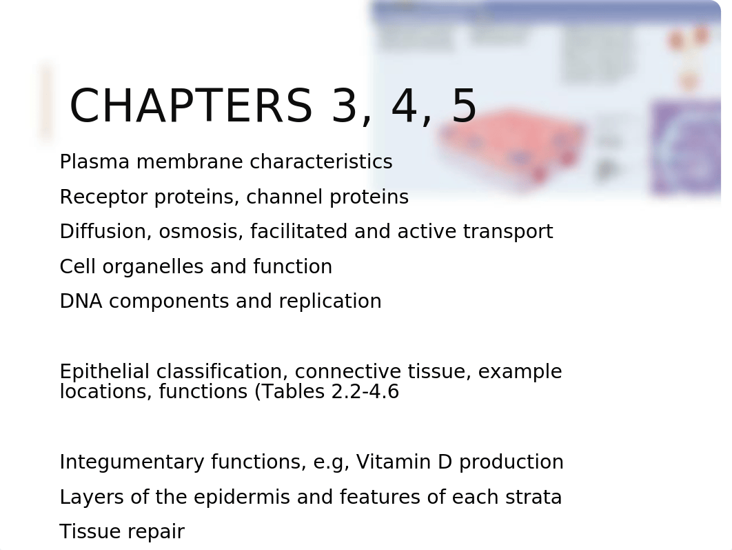 BIO 141-633ExamFinal Review (1).pptx_deozzat7c97_page3