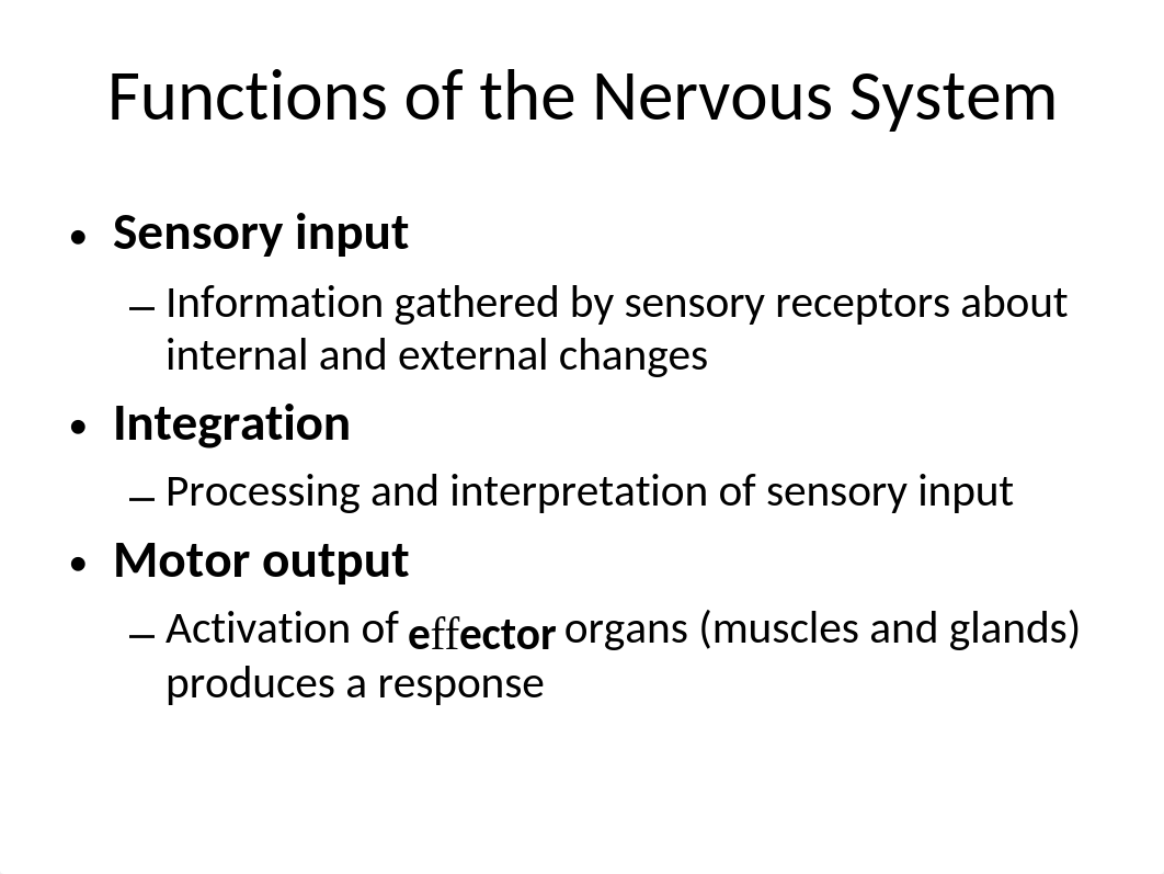 Chapter 11 - Nerve System.pptx_dep5ixoswwp_page4