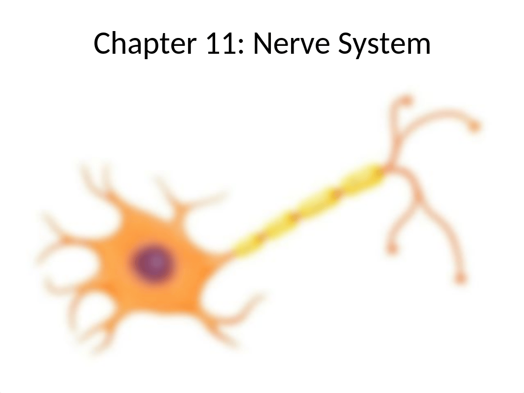 Chapter 11 - Nerve System.pptx_dep5ixoswwp_page1