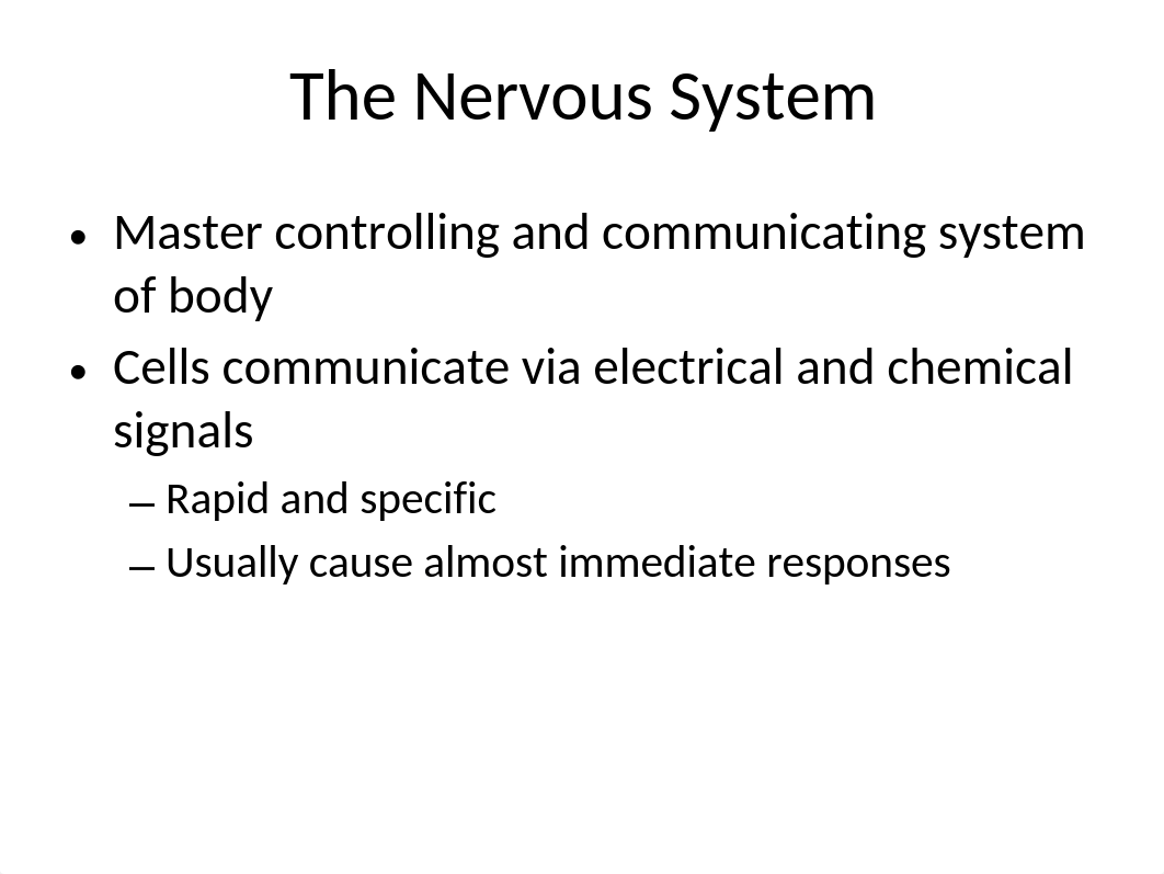 Chapter 11 - Nerve System.pptx_dep5ixoswwp_page3