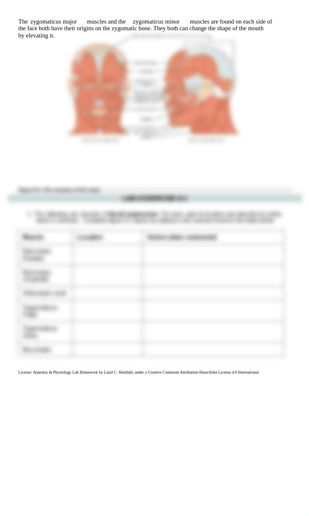 8 Axial Muscles.pdf_dep6oflygz5_page2