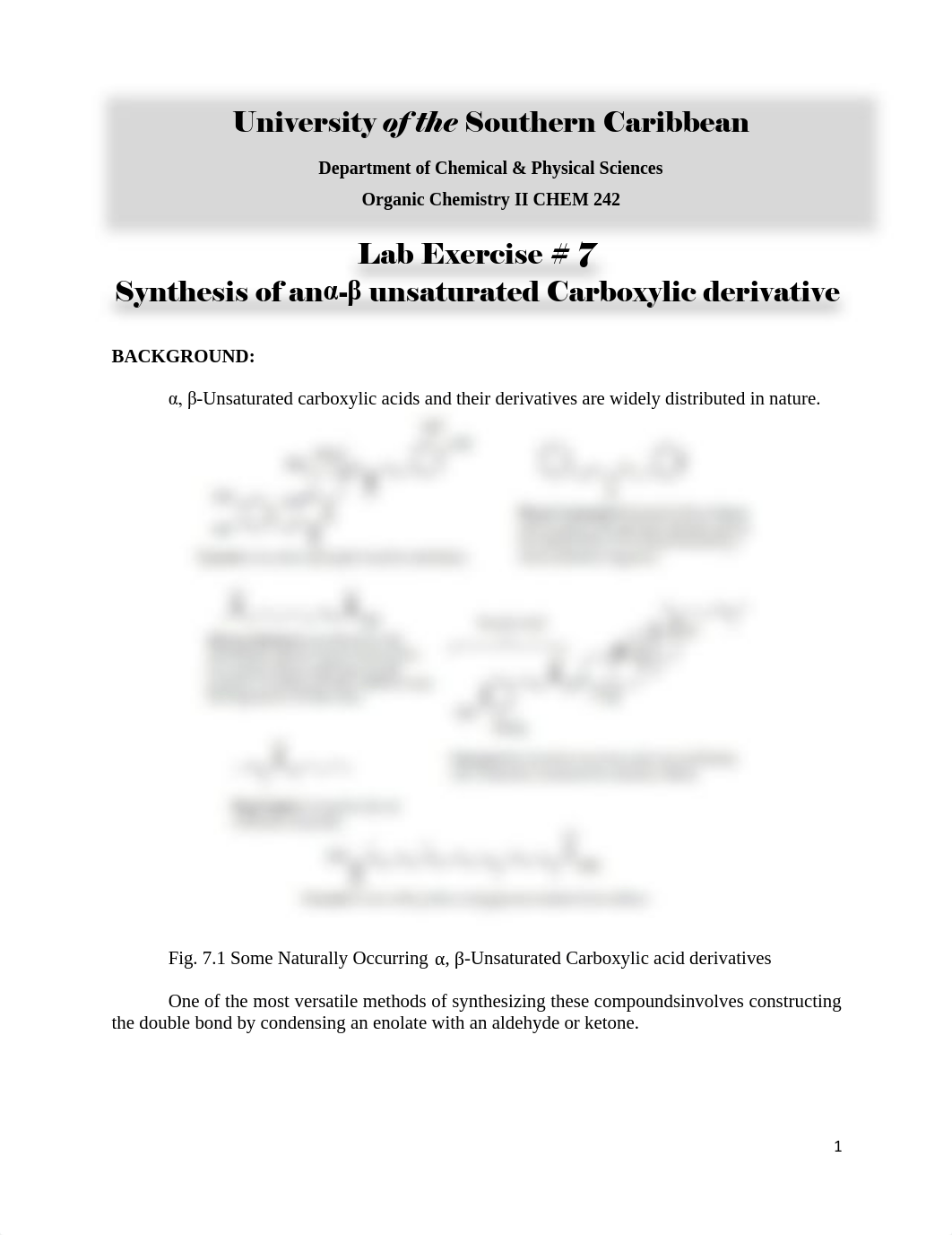 Lab_Exercise__7_Synthesis_of_an_a-b_unsaturated_carboxylic_derivative_(2) (1).pdf_depalo0xrug_page1