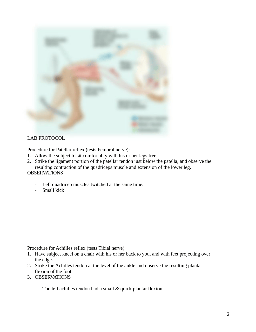 Lab #5 - Reflex Lab rev 2-18.doc_depazjipmyq_page2