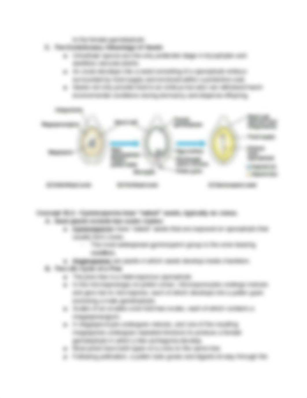 Lionika Williams - Chapter 30- Plant Diversity II: The Evolution of Seed Plants_depniqhr9f2_page2