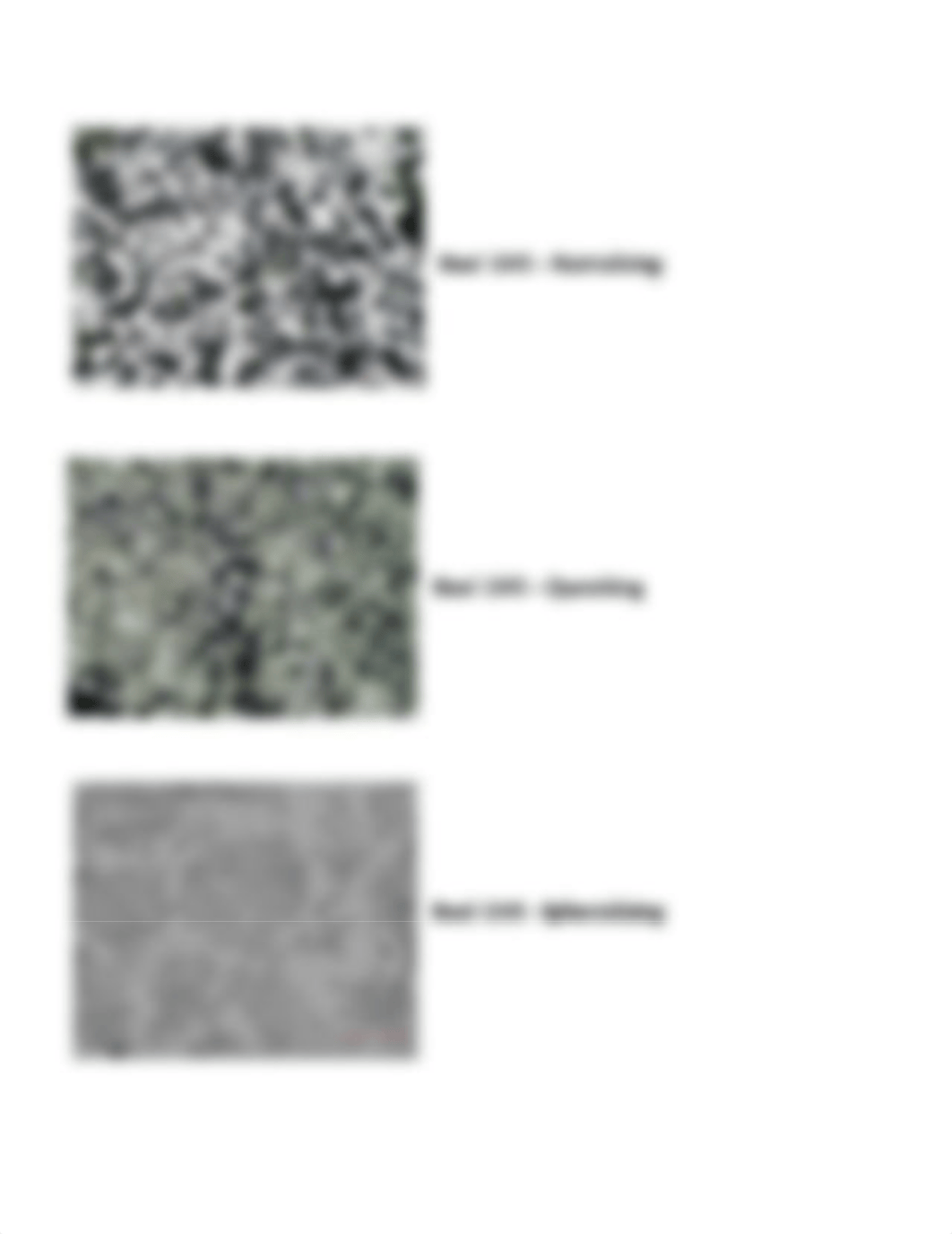 Microstructures of steel after different heat treatments-2016_depokguhukn_page2