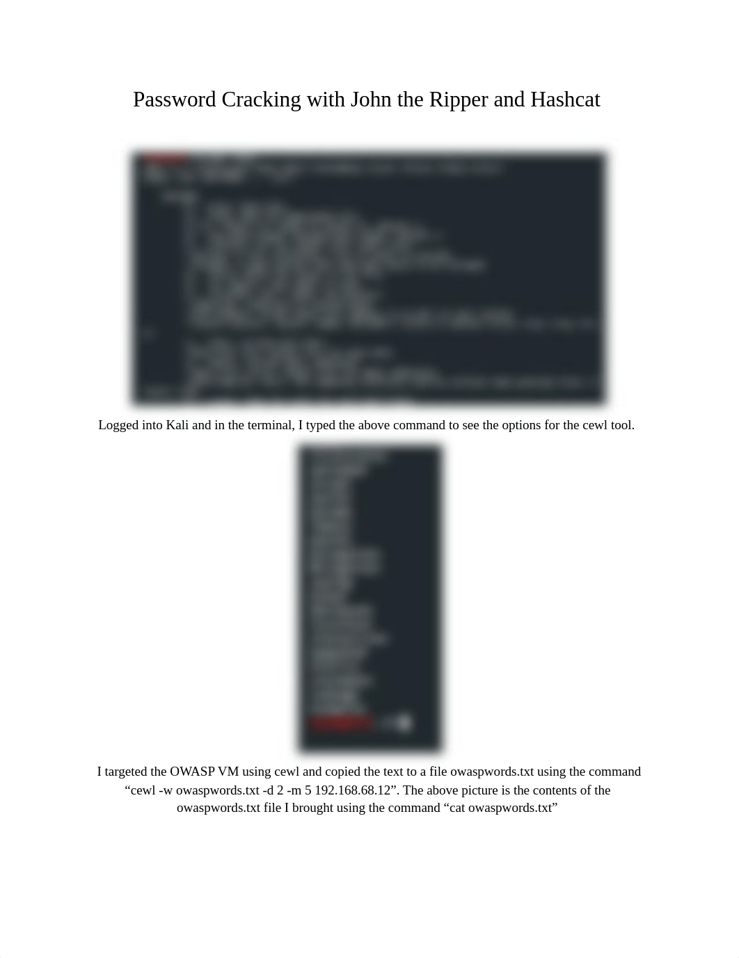 Password Cracking with John the Ripper and Hashcat.docx_depyipcmlsk_page1