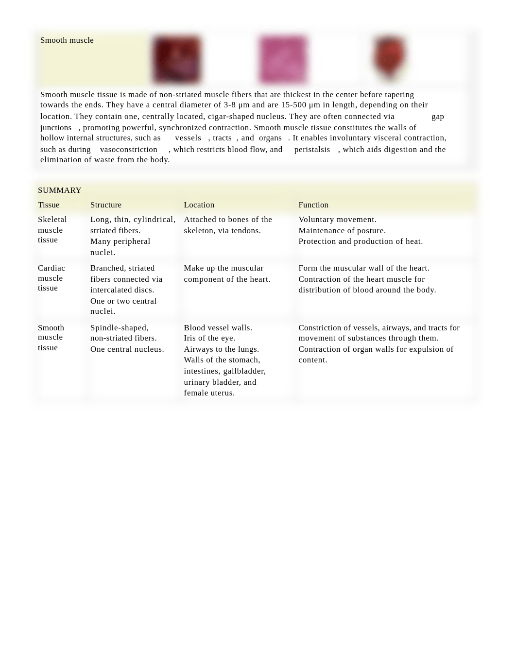 05_muscle_tissue_deq21vcphra_page2