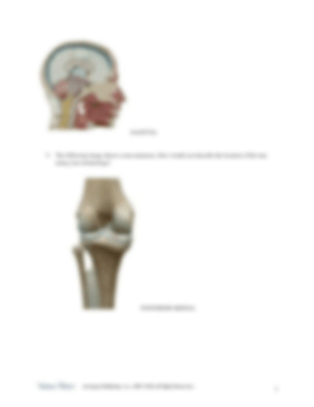 1.Anatomical Directions KEY.docx_deq645ykwyd_page3