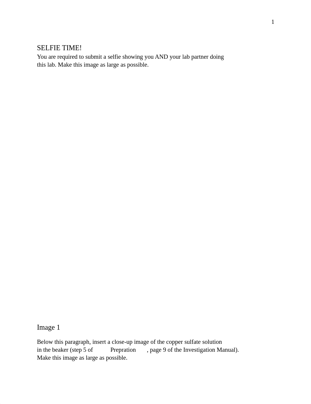 L8 Single Replacement Reaction Stoichiometry Lab Report Template.docx_deqk4x5rh2r_page2