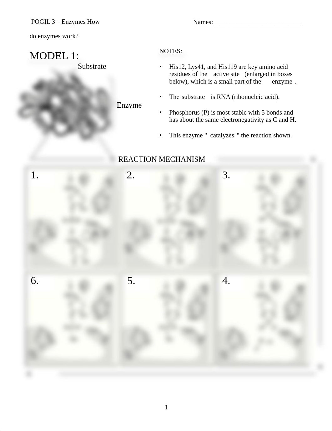 Enzyme worksheet.pdf_deqr4wywx09_page1