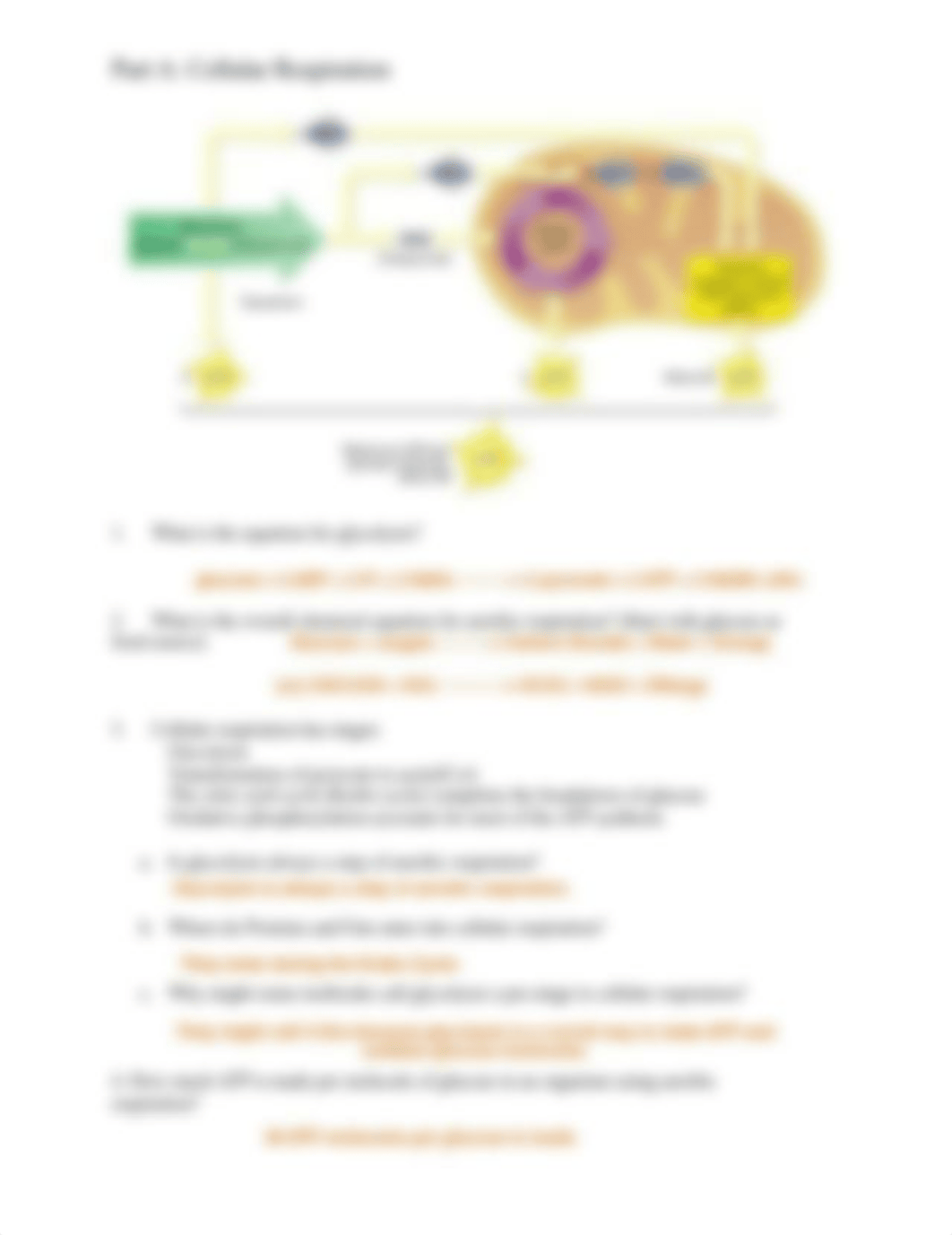 Online fermentation Lab.pdf_deqvt9bfr60_page3