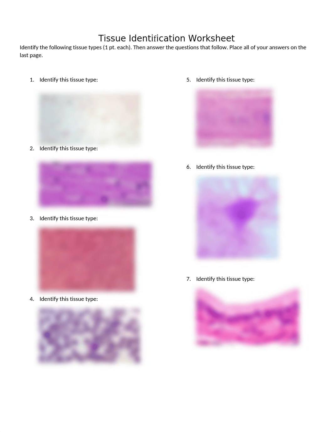 PROUD-Tissue worksheet.docx_deqx1c8tx7m_page1