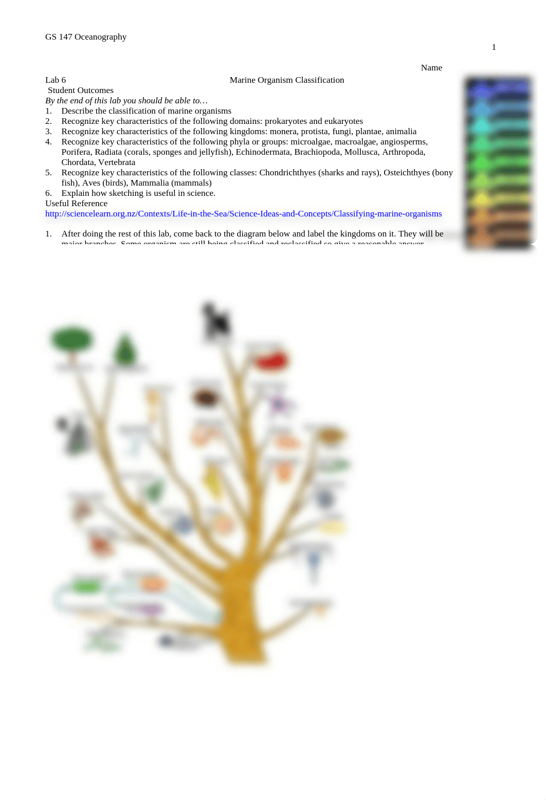 Copy of Lab 6: Organisms_der09qxio9d_page1