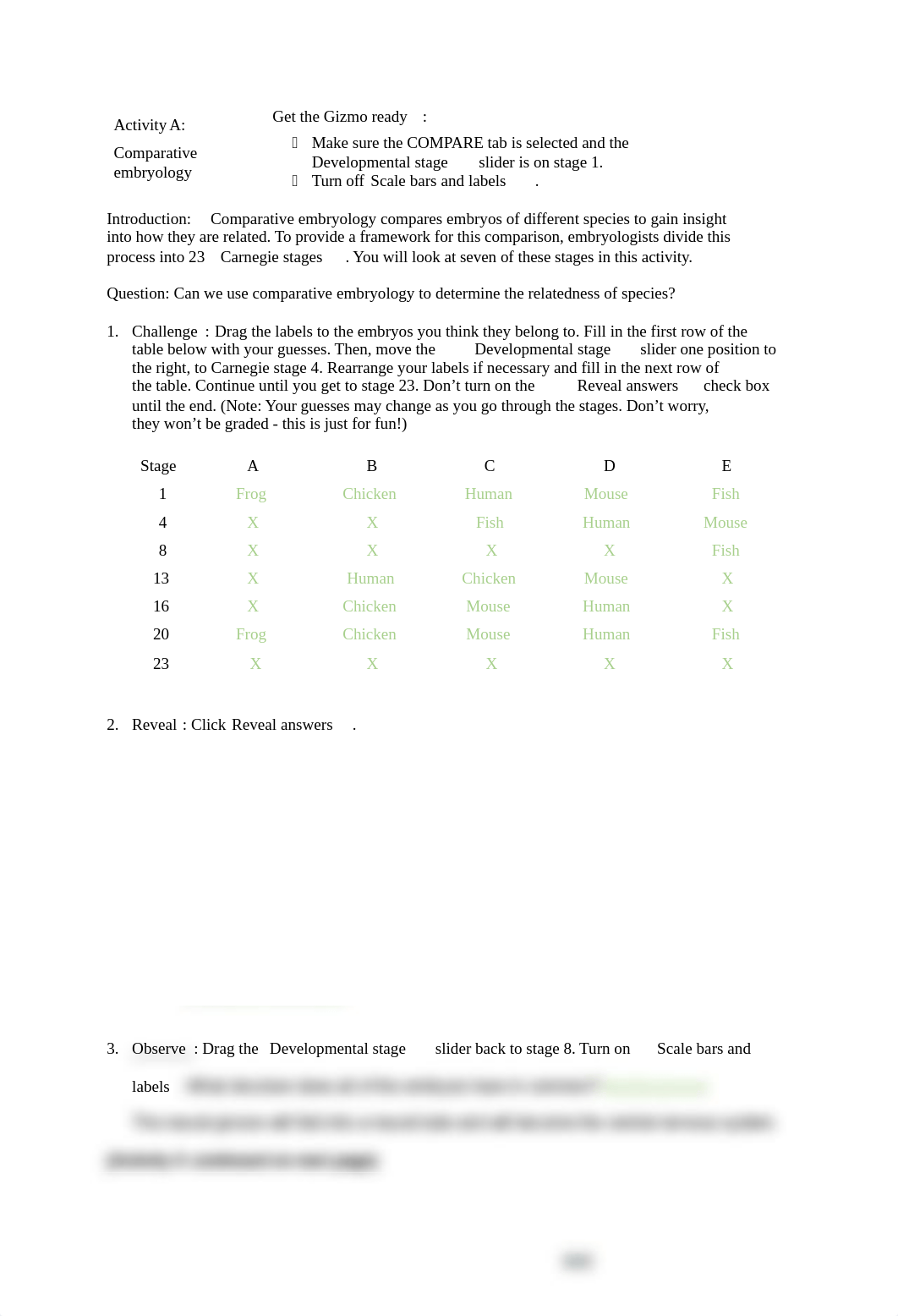 EmbryoDevelopment.docx_deraqkqoymj_page3