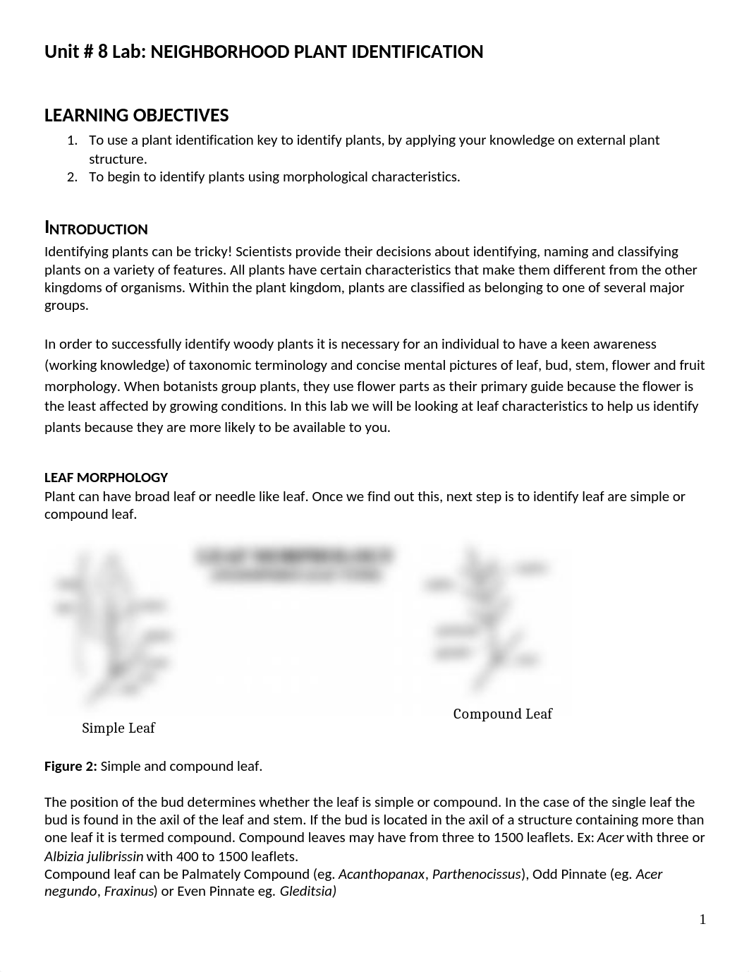 Unit- 8 Lab.docx_dercddw7rfh_page1