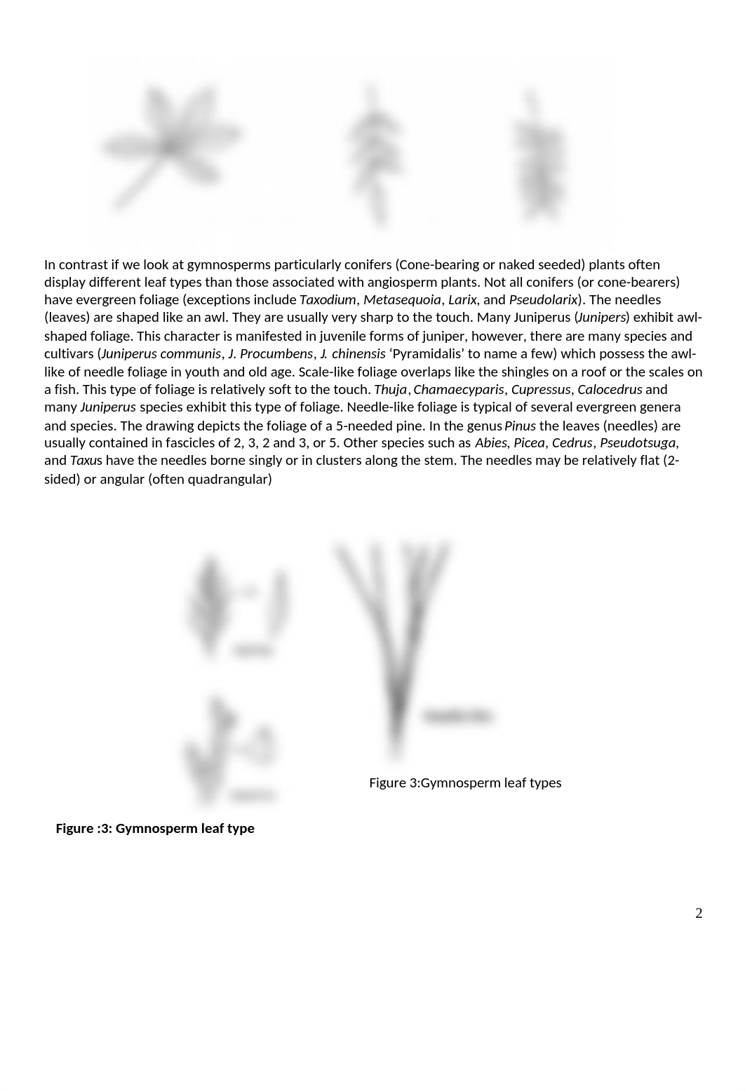 Unit- 8 Lab.docx_dercddw7rfh_page2