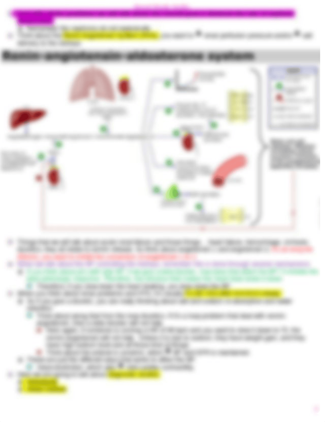 Renal Study guide 2.doc_dercvv7omtj_page3