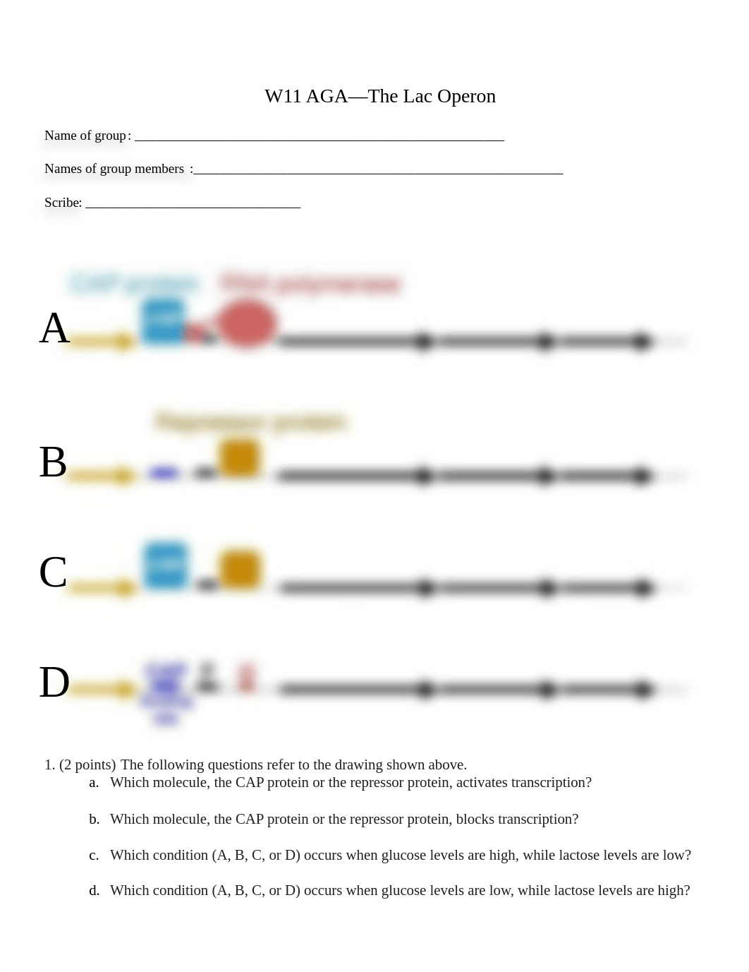 bio375_document_W11AGA_TheLacOperon_edit (1).docx_derdth88d5w_page1