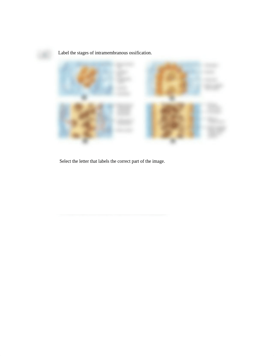 Lab Test 2 Diagrams_derjsk3rgo8_page2