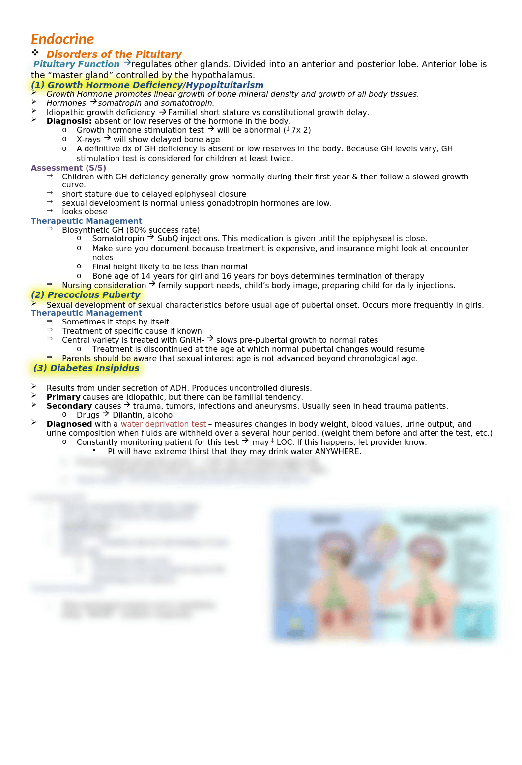 Endocrine.docx_derk226umyg_page1