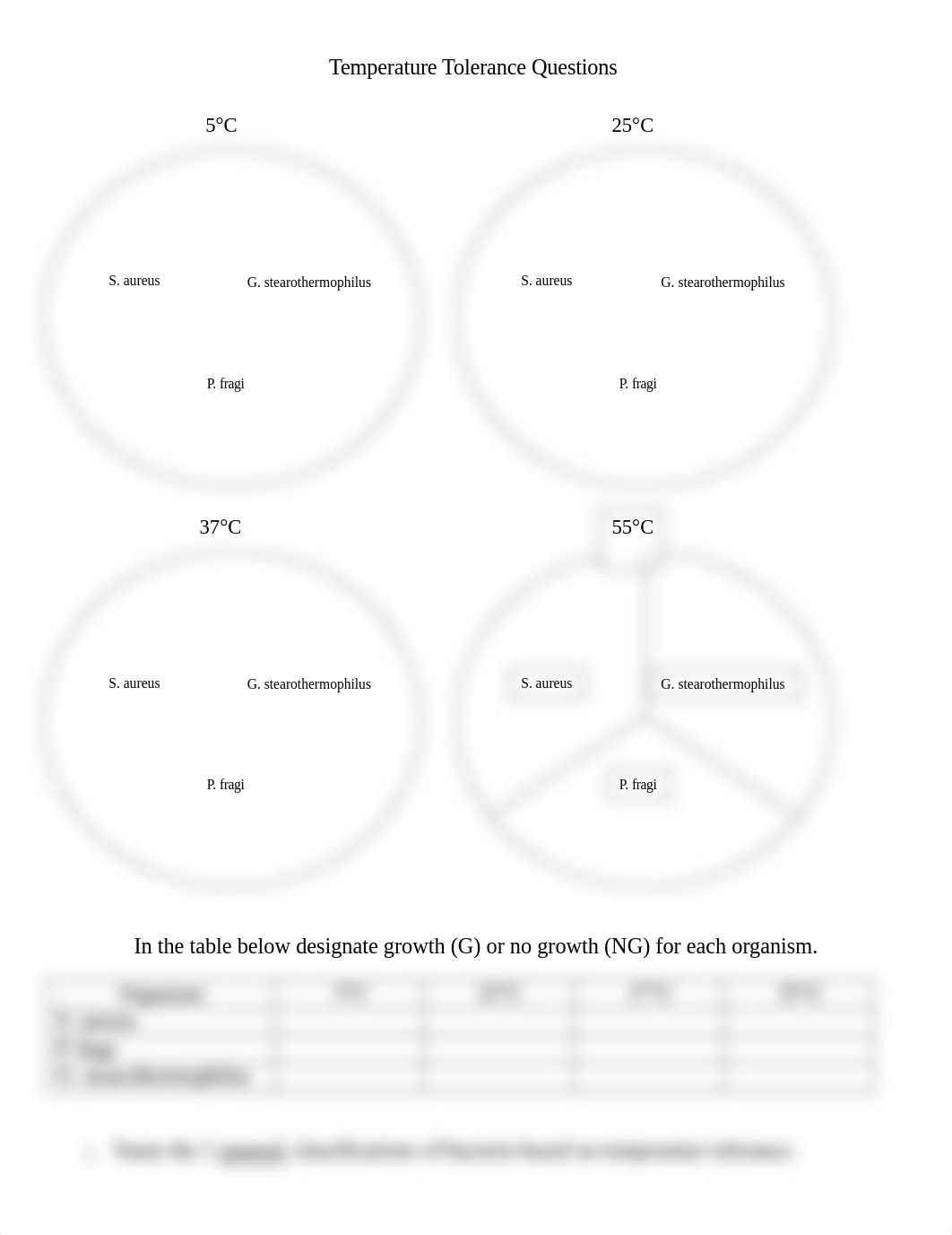 Temperature Tolerance Questions0.docx_derly529ubb_page1