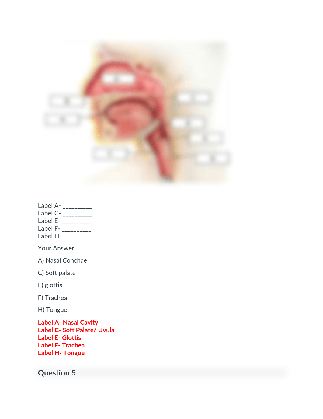 A&P 1 module 2 exam.pdf_derwe5cjaxd_page3