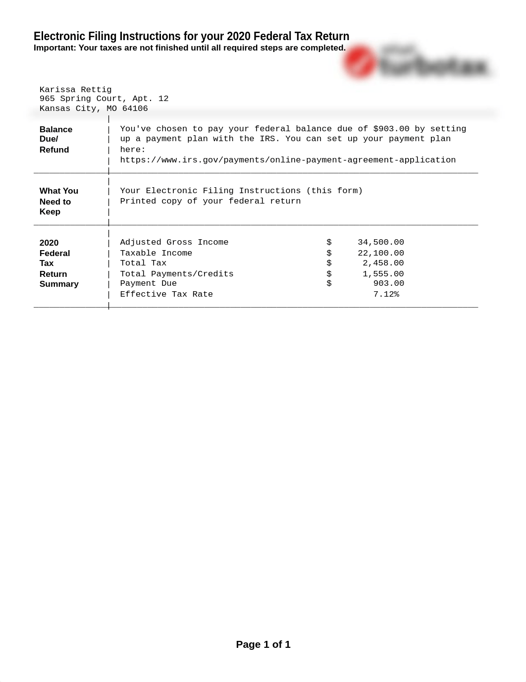 TaxReturn.pdf_derx9ud5zw7_page1