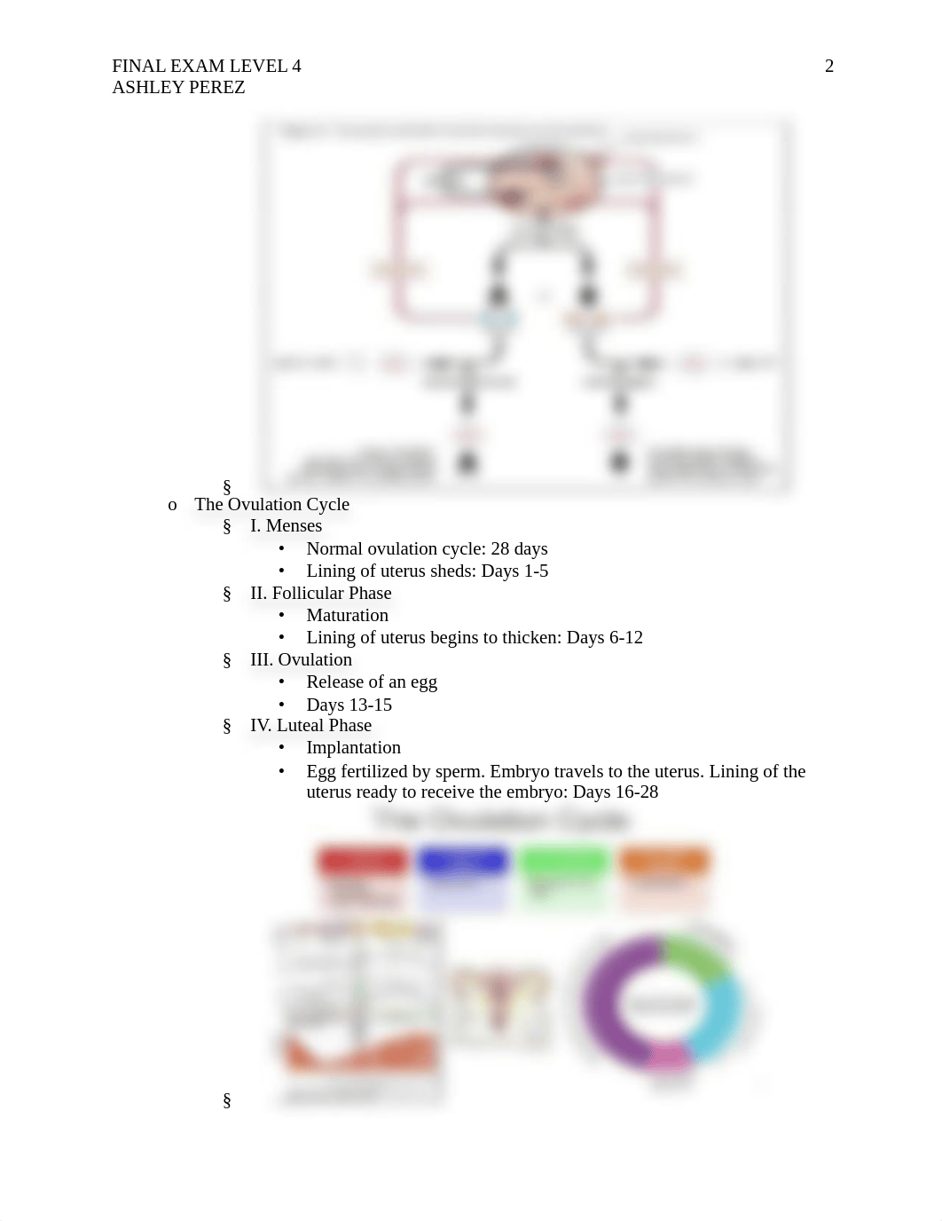 FINAL EXAM LEVEL 4 pdf.pdf_derxb1kuv2c_page2