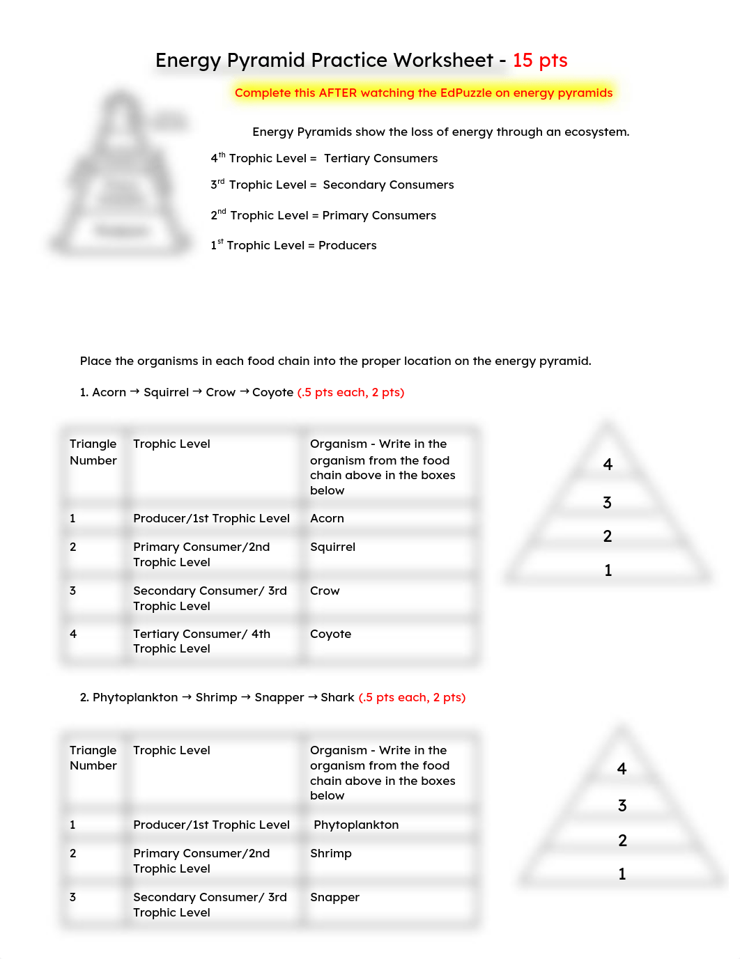 Copy_of_Worksheet_Energy_Pyramid_10_Rule_derxc0c2nzh_page1