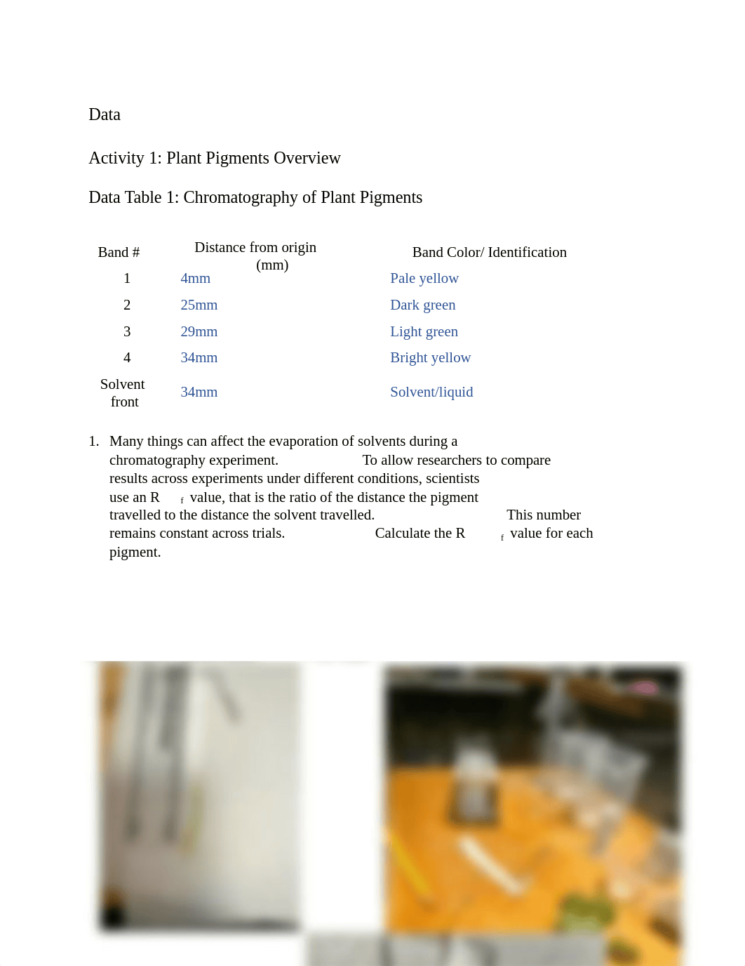 Photosynthesis Answer Sheet.docx_derxkli485t_page2