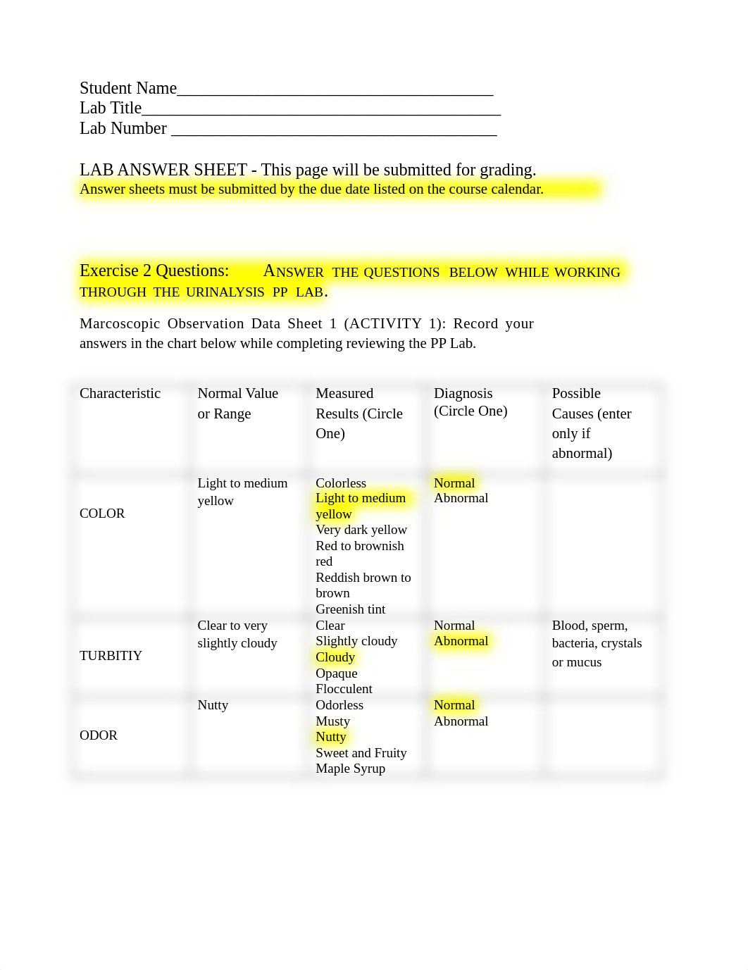 Urinary system PP LAB.docx_derzg4d75tq_page1