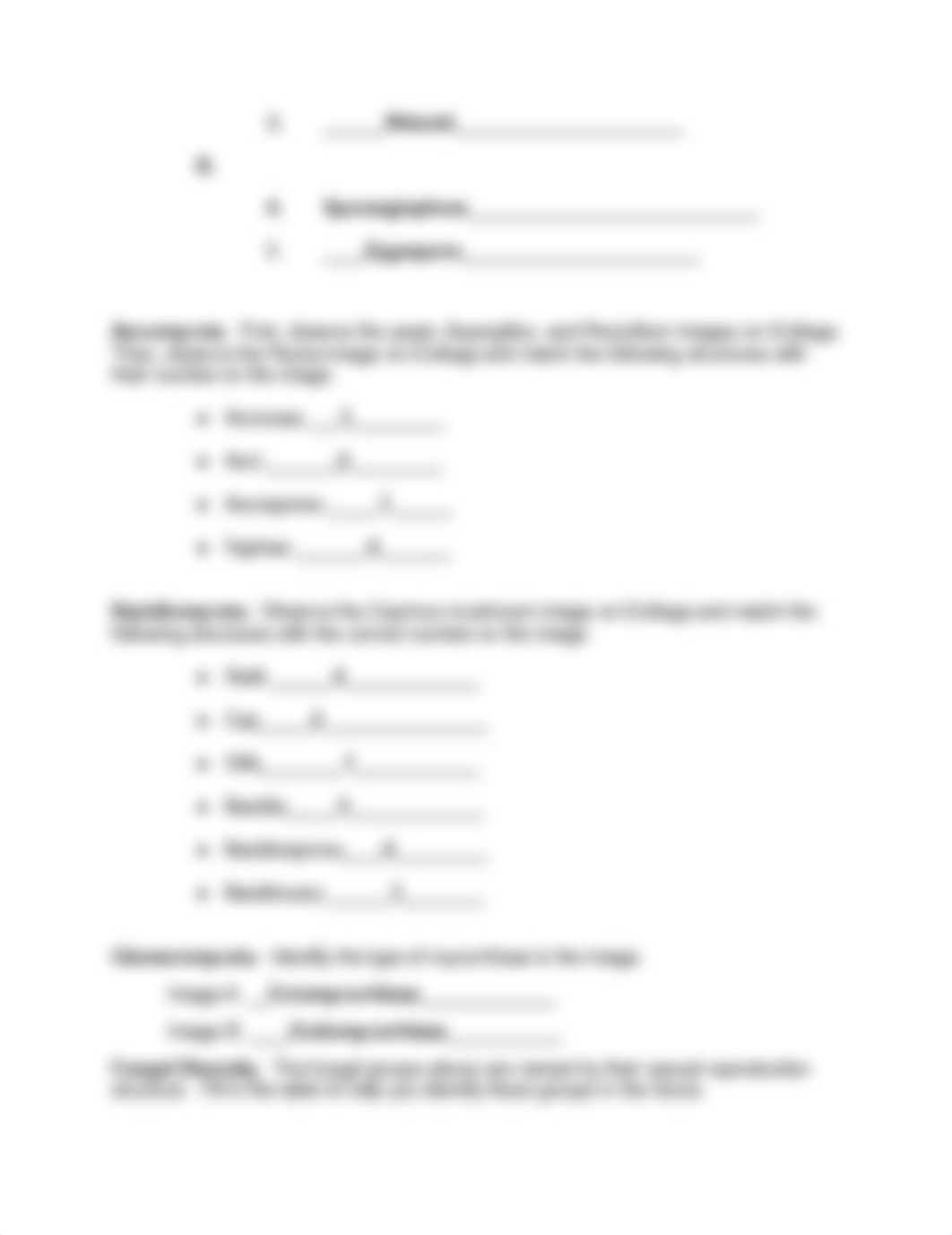 Fungi Activity Worksheet (1).pdf_des3vso3nd8_page2