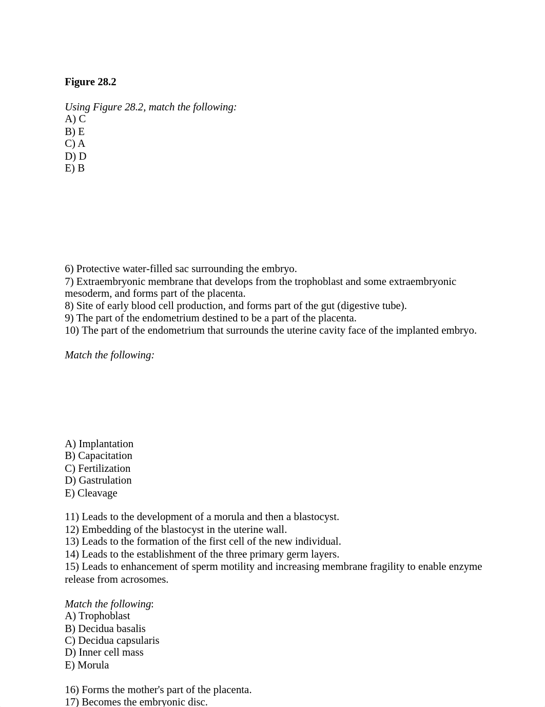 ch_28_worksheet (1).docx_des4rua0s0t_page3