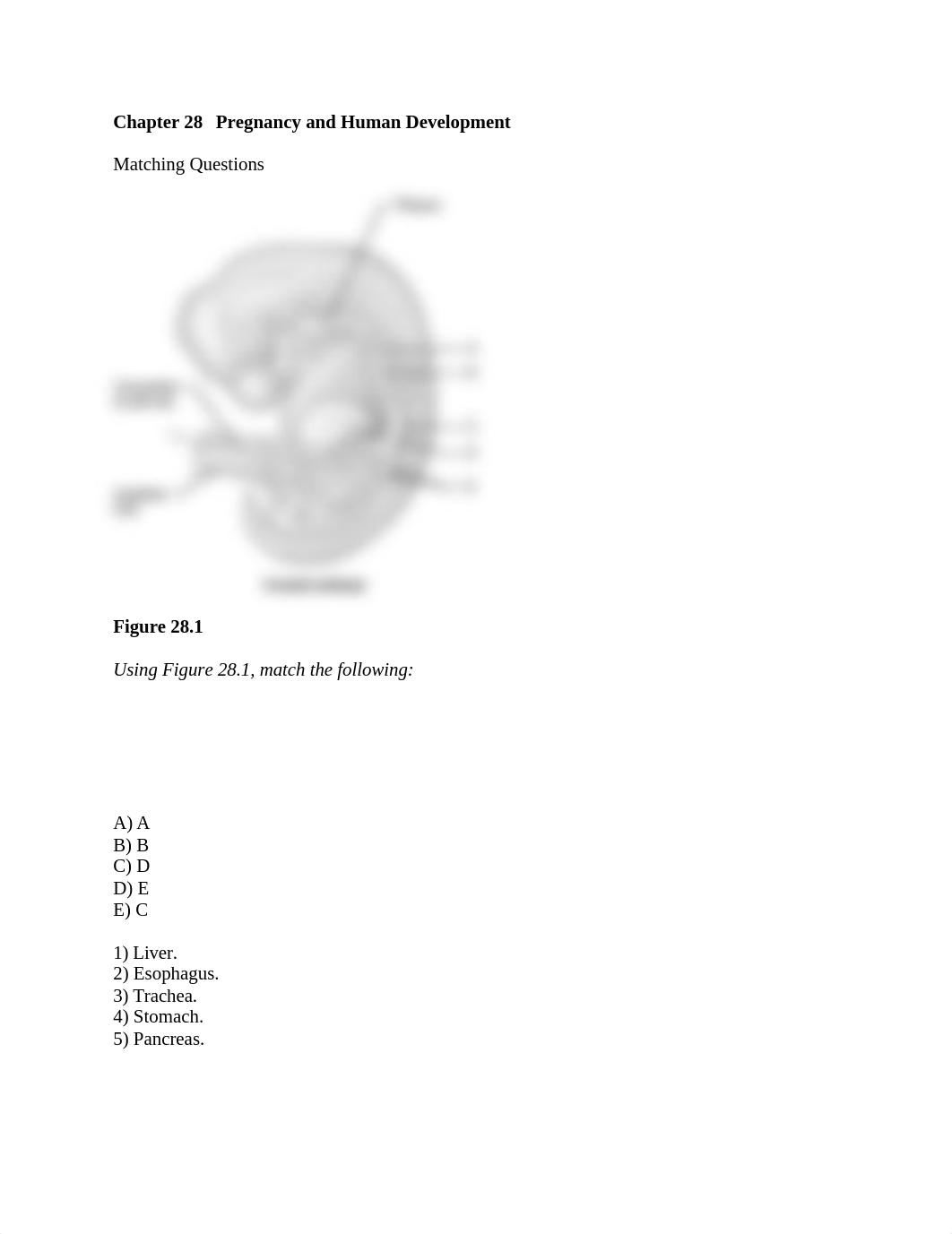 ch_28_worksheet (1).docx_des4rua0s0t_page1