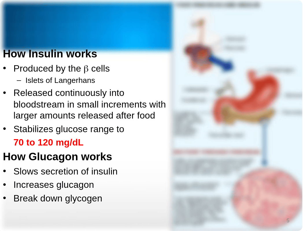 Diabetes_Sorensen_des6s8ja6rp_page5