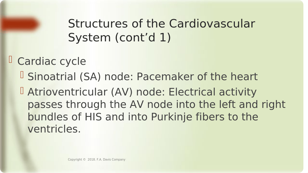 Circulation and Perfusion nu 110 fall 2019pptx revised.pptx_desbw0r6wis_page4