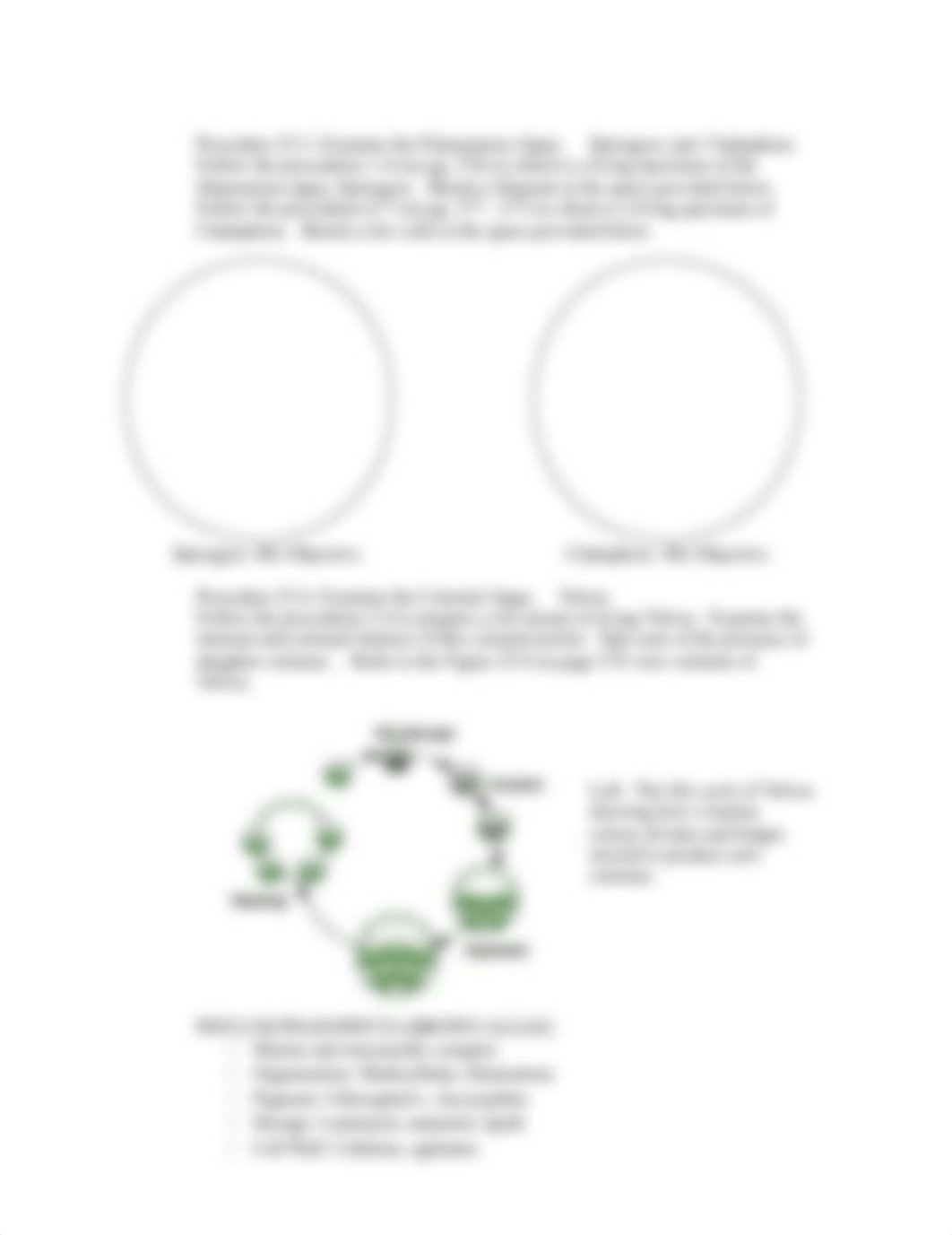 Protist+Lab+Handout_desjq44eiox_page2