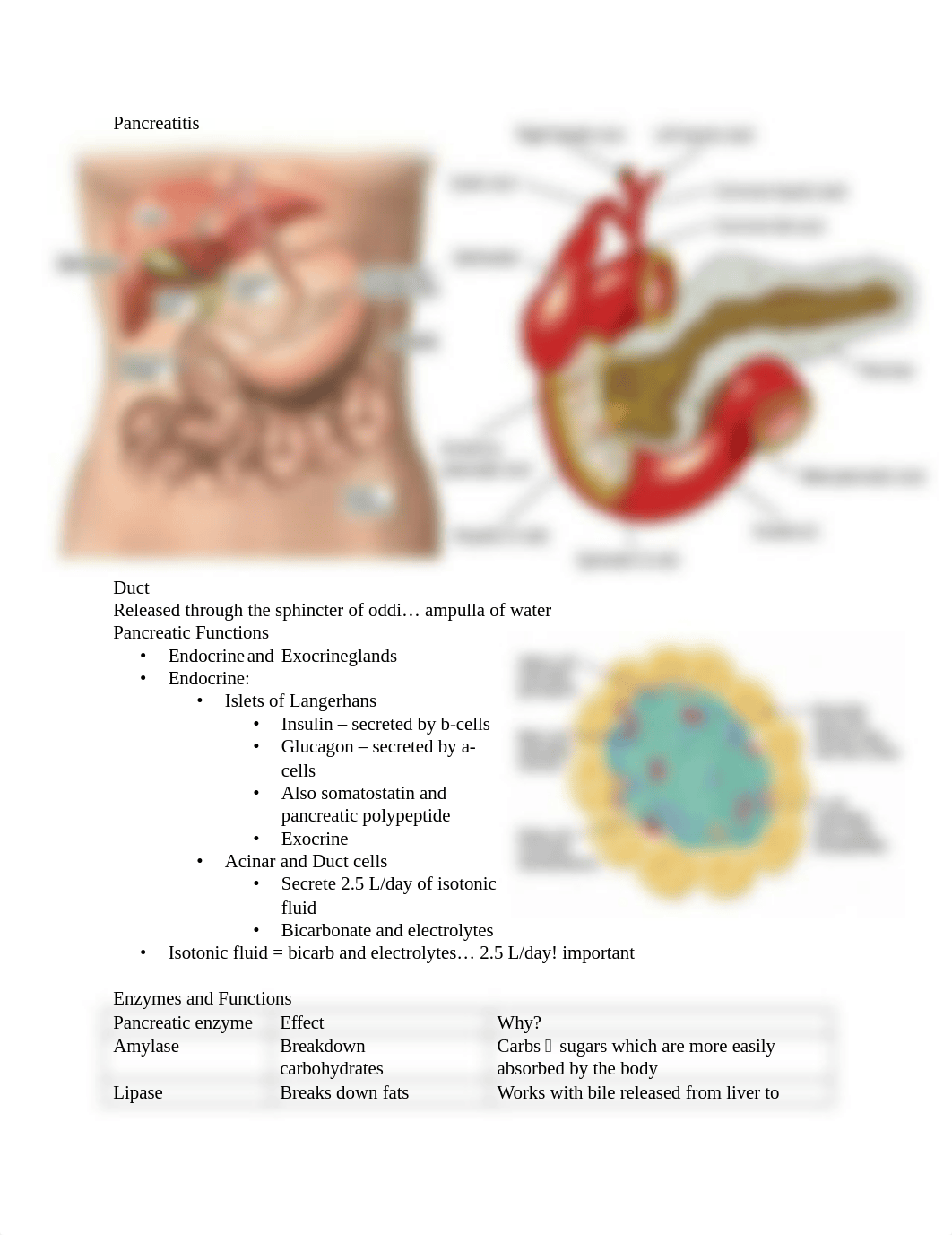 Test 3 study guide.docx_desn6kx5l9q_page1