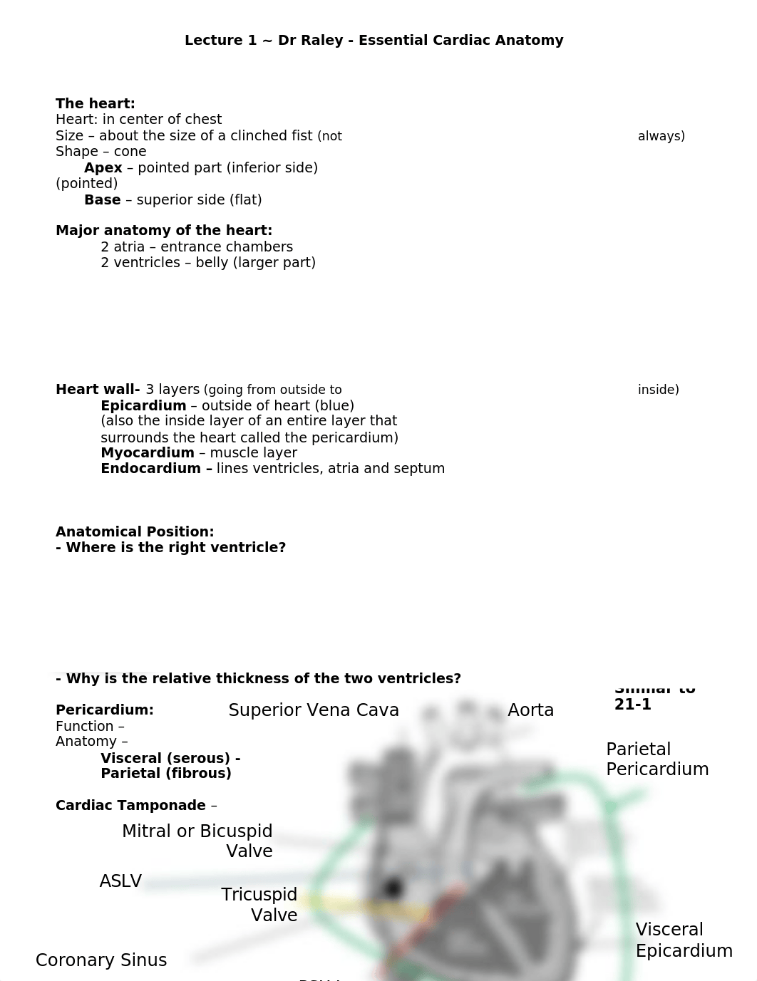 Lecture 1 - Cardiac Anatomy.doc_desodmsf8vg_page1