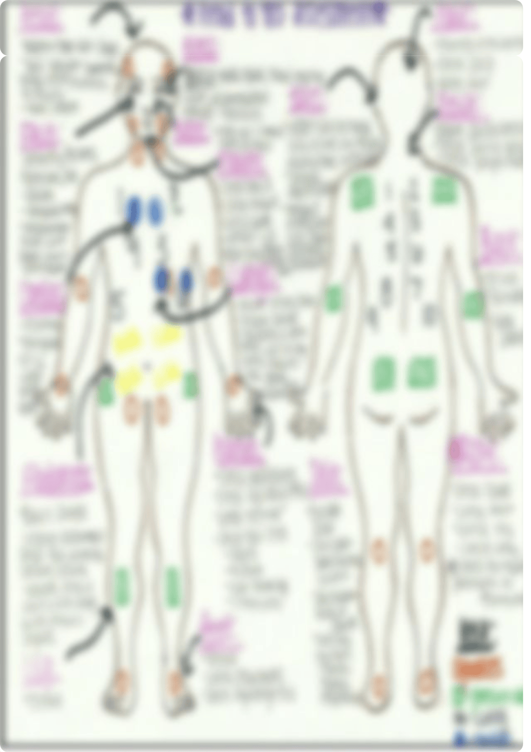 Head-To-Toe Assessment Single 3 (1).pdf_desplpxh2y4_page2