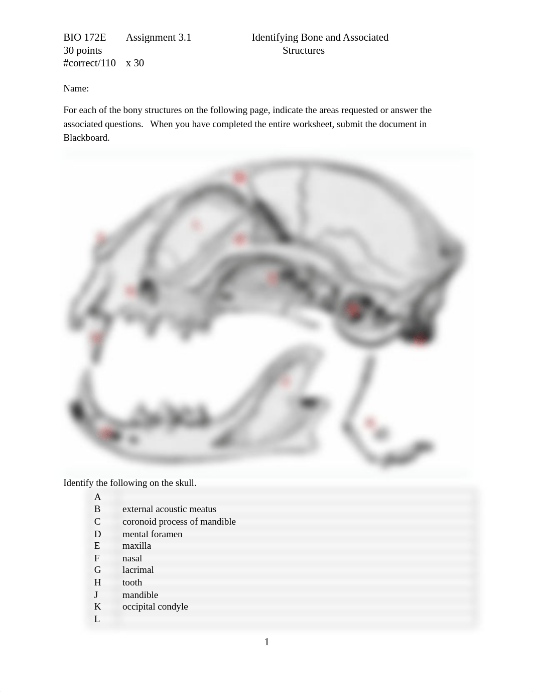 ASSN 3.1 Identifying Bone and Associated Structures (1).docx_desqu280zc5_page1
