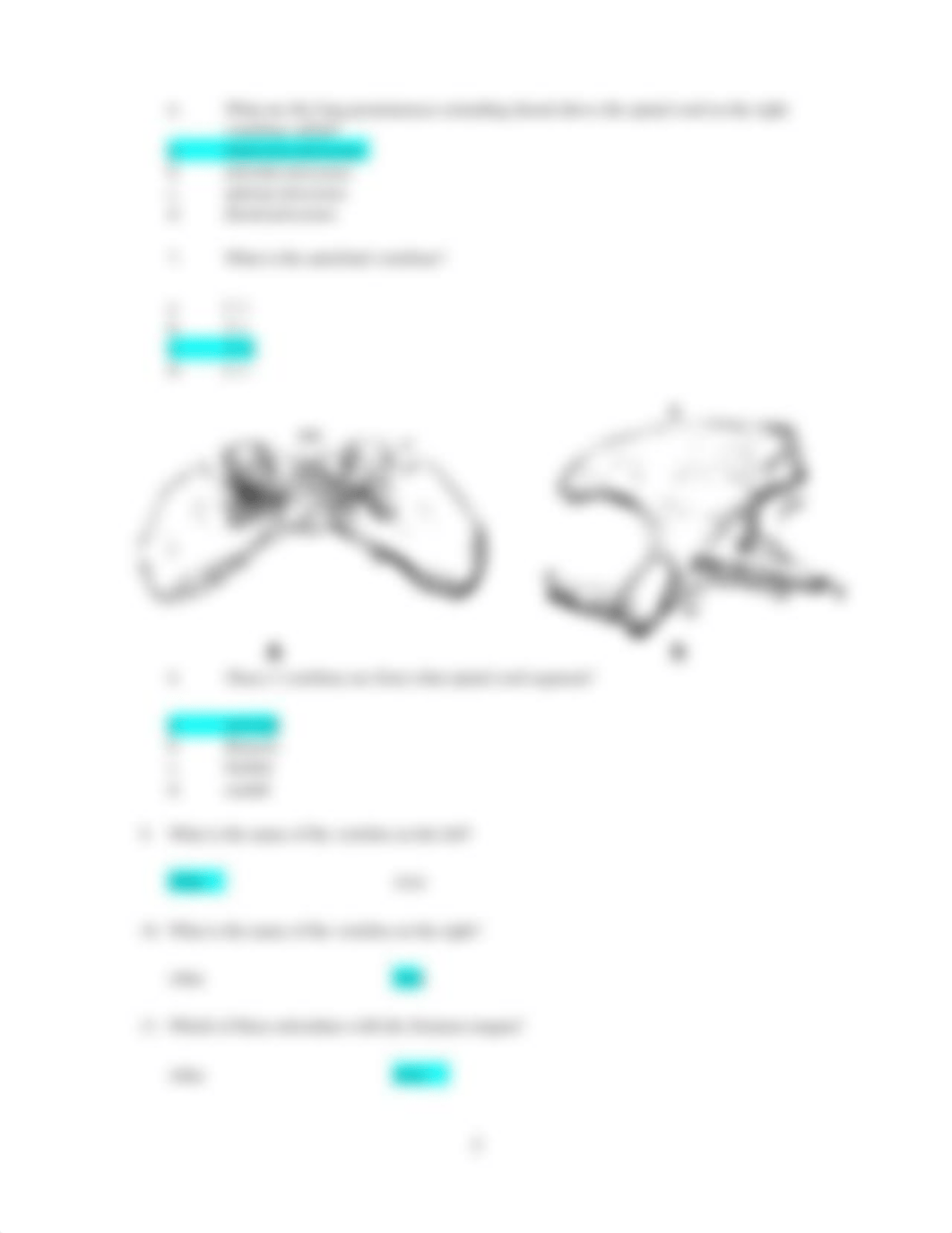 ASSN 3.1 Identifying Bone and Associated Structures (1).docx_desqu280zc5_page3