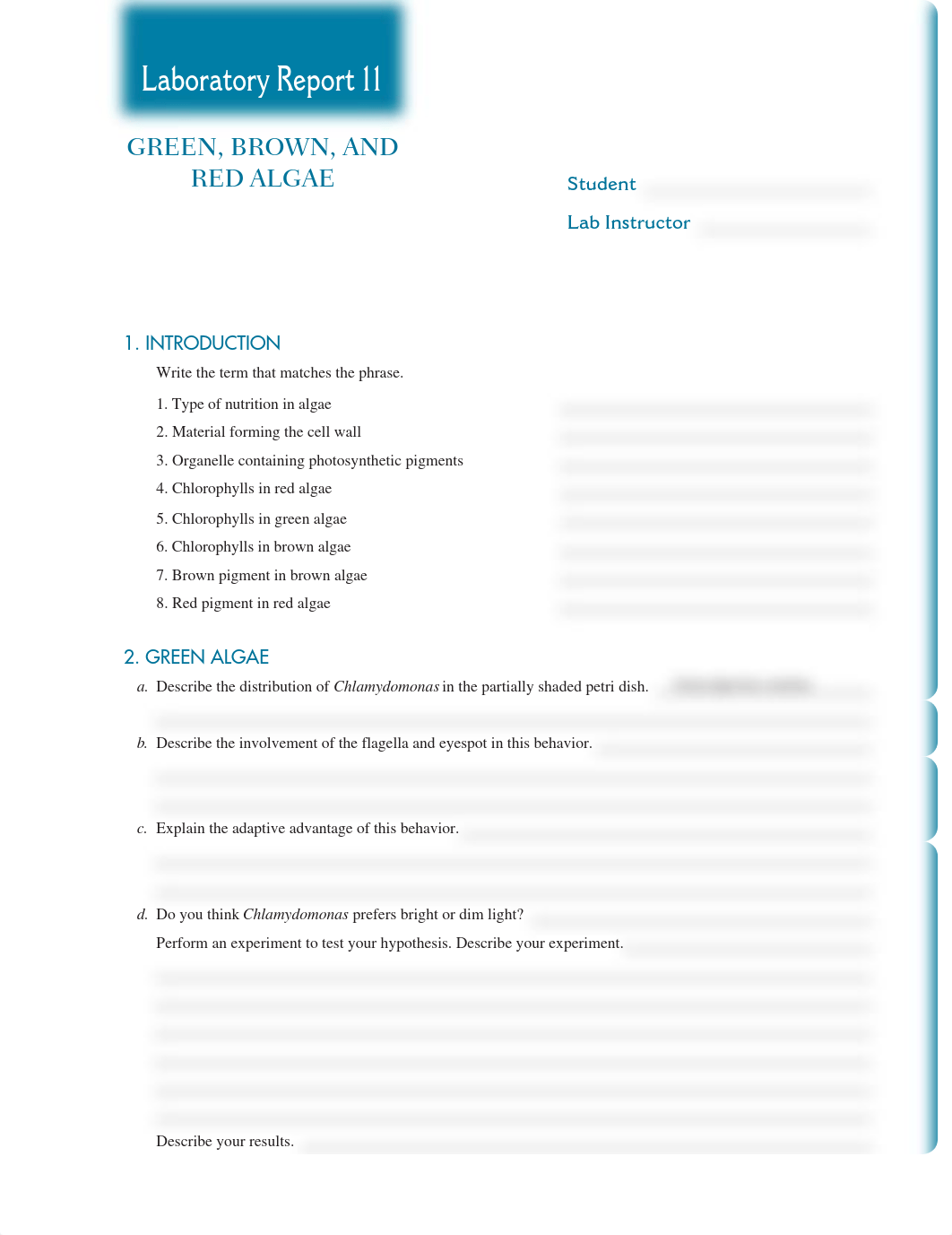 Lab Report 11.pdf_desv1vae5bn_page1