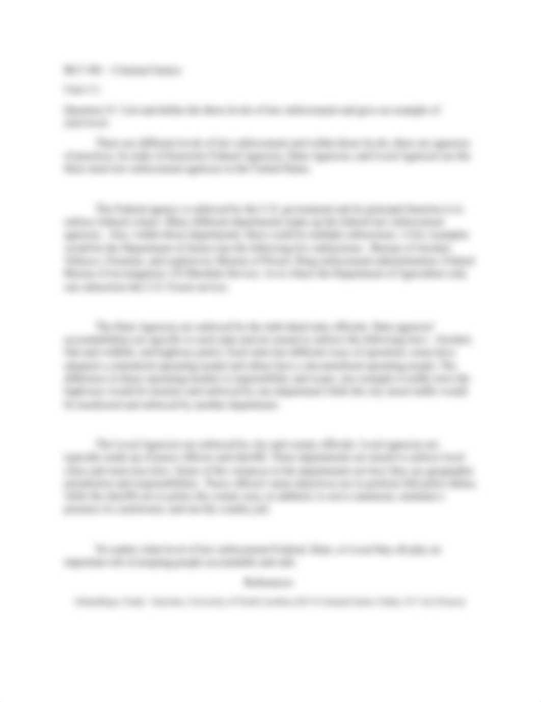 Criminal Justice.docx_desvcyox0e2_page2