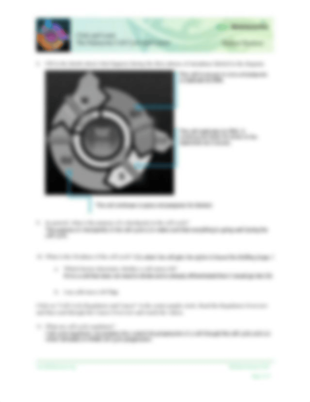 U6A2EukaryoticCellCycle1.pdf_desxgc1d5jh_page2