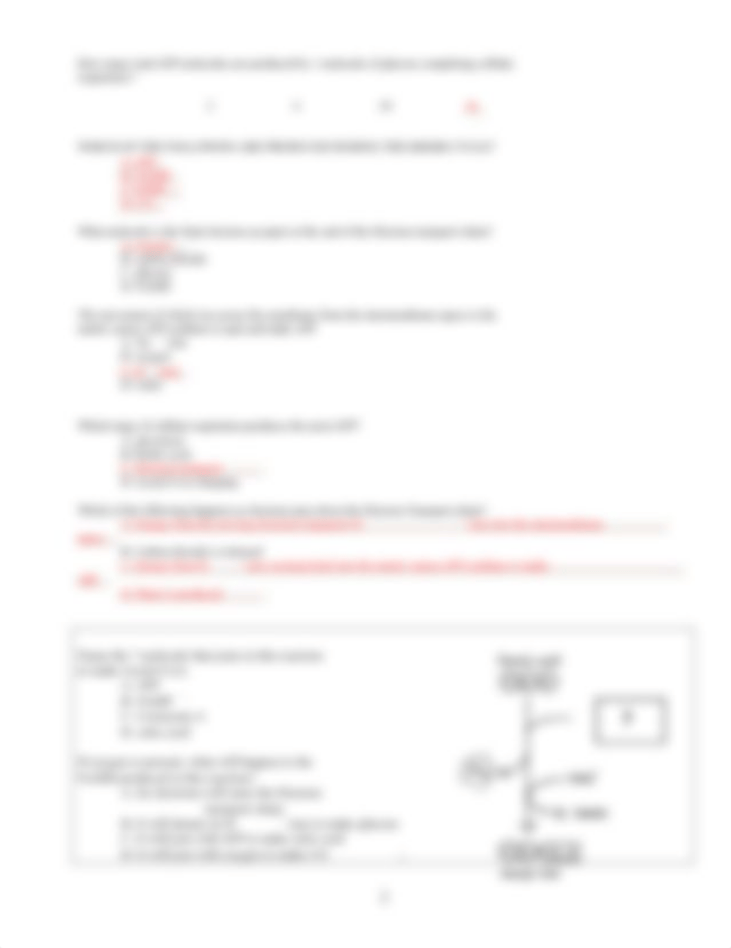 CELLULAR RESPIRATION review worksheet.doc_desxo171pdj_page2