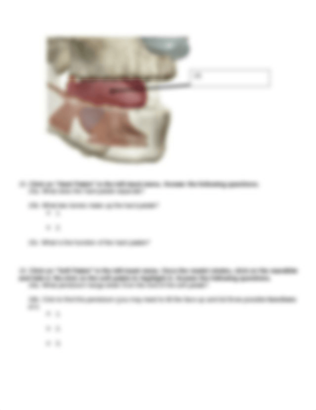 BIO 211 Lab 7 Online Lab Activity YTC Complete.docx_det15830eah_page5